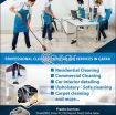 Professional Cleaning Service photo 1