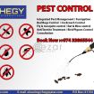 Pest Control Service Call Us now photo 1