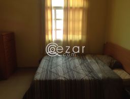 SHARED VILLA FOR PROFESSIONAL for rent in Qatar