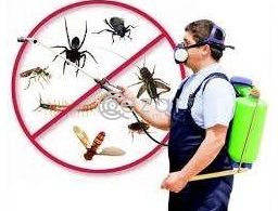Bed Bugs Control Qatar 149QAR Onward in Qatar