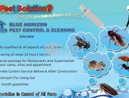 Pest Control and Cleaning Services in Qatar