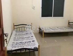 Room for Rent for rent in Qatar