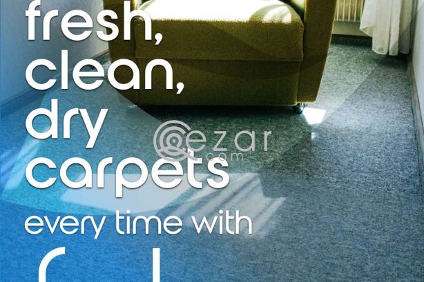 Carpet Cleaning Service photo 3