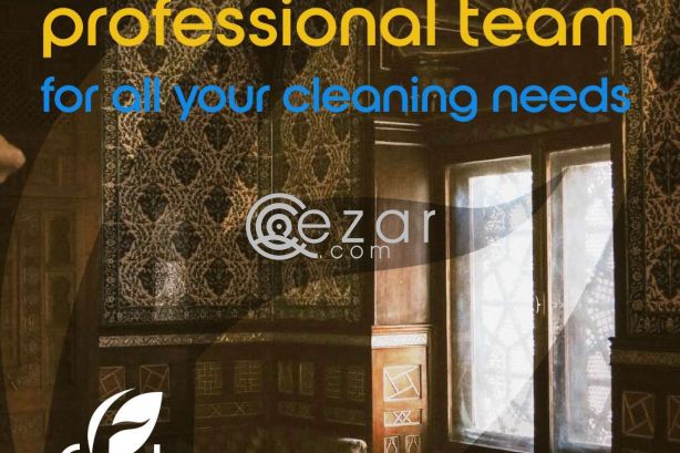 Professional Cleaning Service photo 3