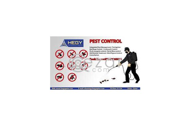 Pest control service in Doha Qatar photo 1
