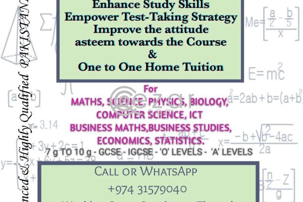 Home tuition for MATHS, PHYSICS, BUSINESS STUDIES etc. photo 1