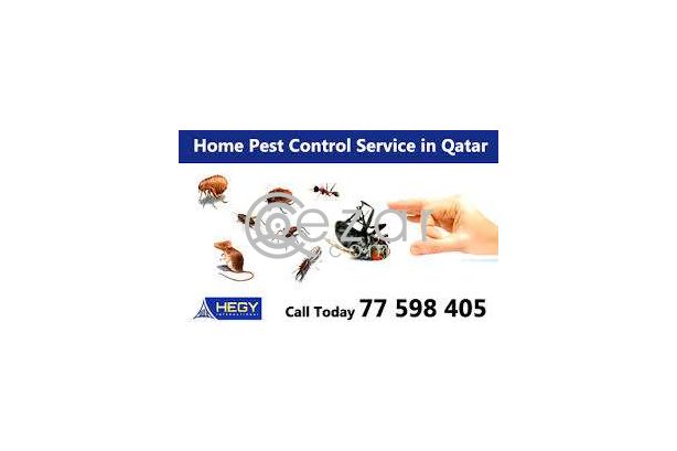 Pest control Doha Qatar 149QAR onwards photo 1