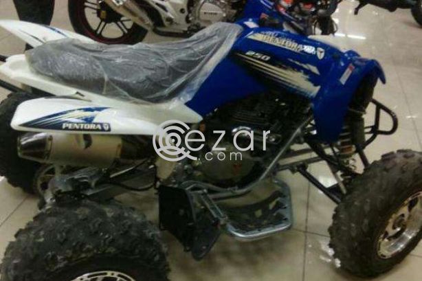 Can-Am DS 250  2014 photo 1