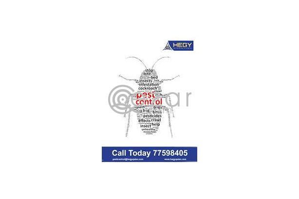 Pest Control And Cleaning Service In Qatar photo 1