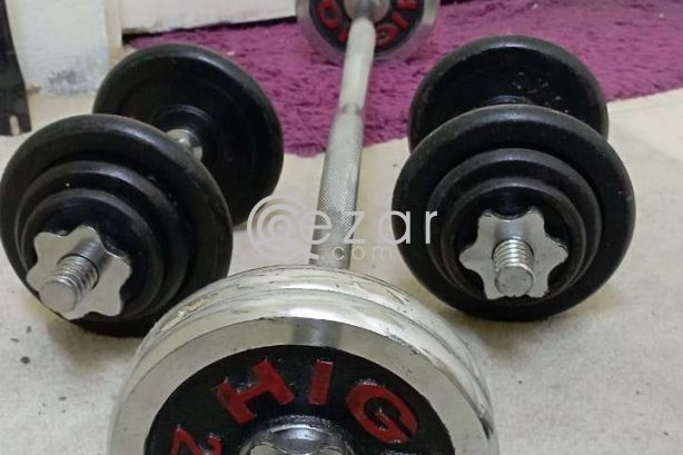 8KGs 2 pice dumble and 10 kg big one photo 1