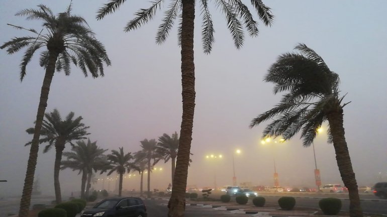 Low visibility due to strong dusty wind, motorists urged caution; heavy rain reaches north of Doha